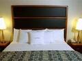 Doubletree Suites By Hilton NYC Times Square 图片 10
