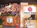 樱花荟日本美食餐厅 - Sakura Bistro Tapas & Sake Bar 图片 3