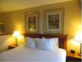 Holiday Inn Express Hotel And Suites Midway Airport 图片 7