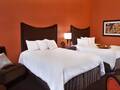 Hampton Inn Majestic Chicago 图片 27