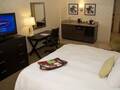 Hampton Inn And Suites Downtown Chicago 图片 39