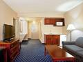 Holiday Inn Hotel And Suites Downtown Chicago 图片 20