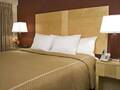 Comfort Suites North Michigan Avenue 图片 35