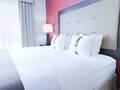 Holiday Inn Chicago 图片 40
