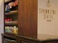 Springhill Suites O' Hare Chicago 图片 17