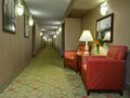 Homewood Suites By Hilton Chicago Downtown 图片 5