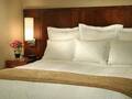 Courtyard By Marriott Chicago Downtown River North 图片 13