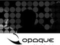 Opaque 图片 1
