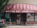 VCA Metro Cat Hospital 图片 1