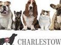 Charlestown Veterinary Hospital 图片 1