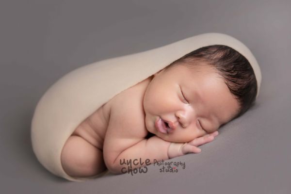 法拉盛丑叔叔摄影工作室 图片 9