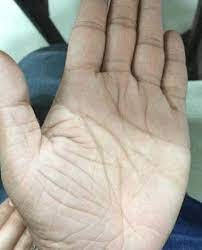 手相/掌纹网上遥距专业箅命！掌相神算！古人云 : 手相乃万相之首, 算卜必由此起 图片 3