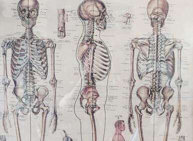 南费城杏林中医针灸诊所 接收车祸及工伤事故保险 位于华盛顿街和9街附近 photo 1