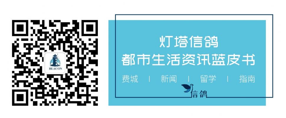 费城网站设计开发 灯塔信鸽 Love Beacon LLC 图片 7