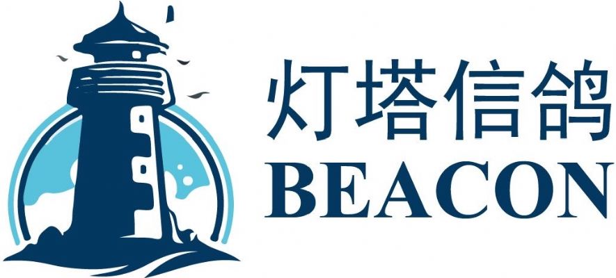 费城网站设计开发 灯塔信鸽 Love Beacon LLC 图片 6