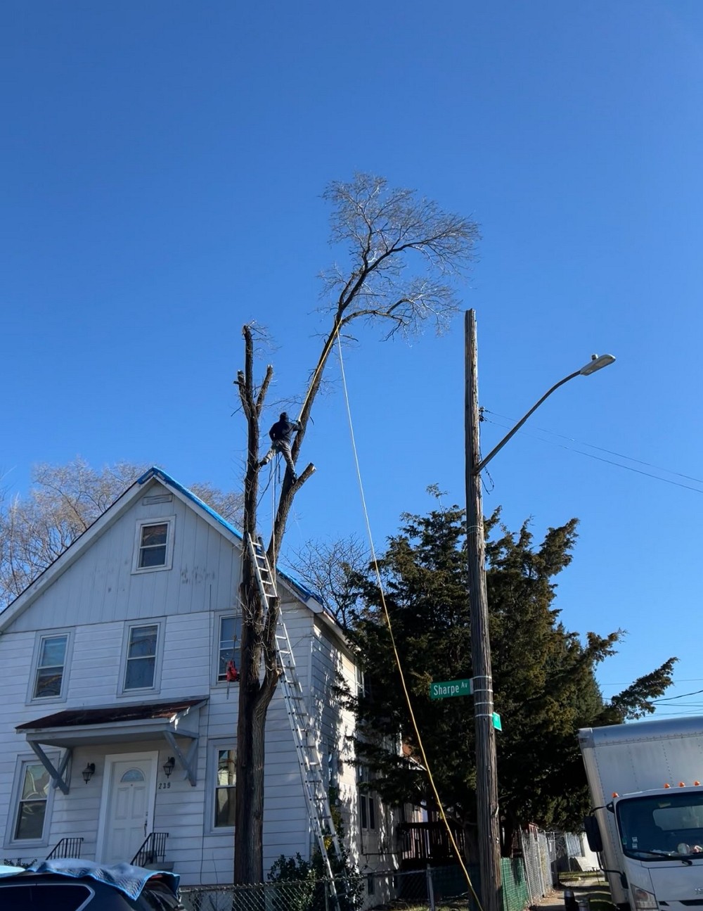 新州艺美砍树公司 – 砍树修枝，刨除树根，安全操作， 建围墙围栏，露台走道，石砖铺路，水泥车道 NJ photo 4