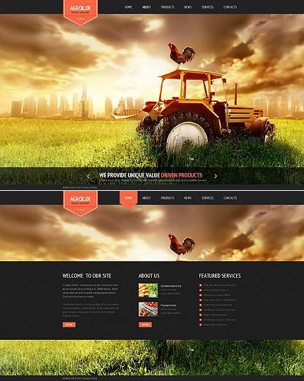 北美农场有机farm农产品批发网站建站开发518-956-5673 NJ 图片 3