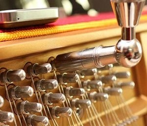 钢琴调音与维修保养 NJ photo 2