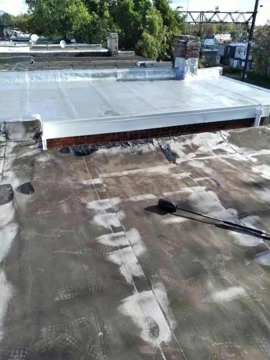 庭院改造，外墙防水，外墙粉刷，水泥车道，内外翻新，专业装修公司免费估价 图片 2