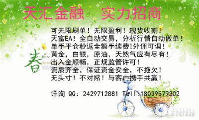 金融投资应该选择什么比较好盈利 NJ photo 5