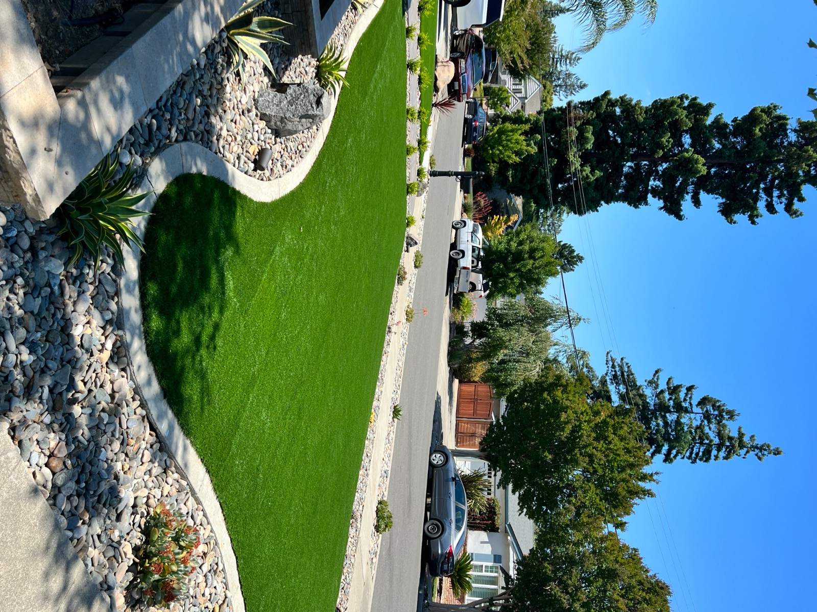 熊猫地毯地板人造草坪公司 图片 5