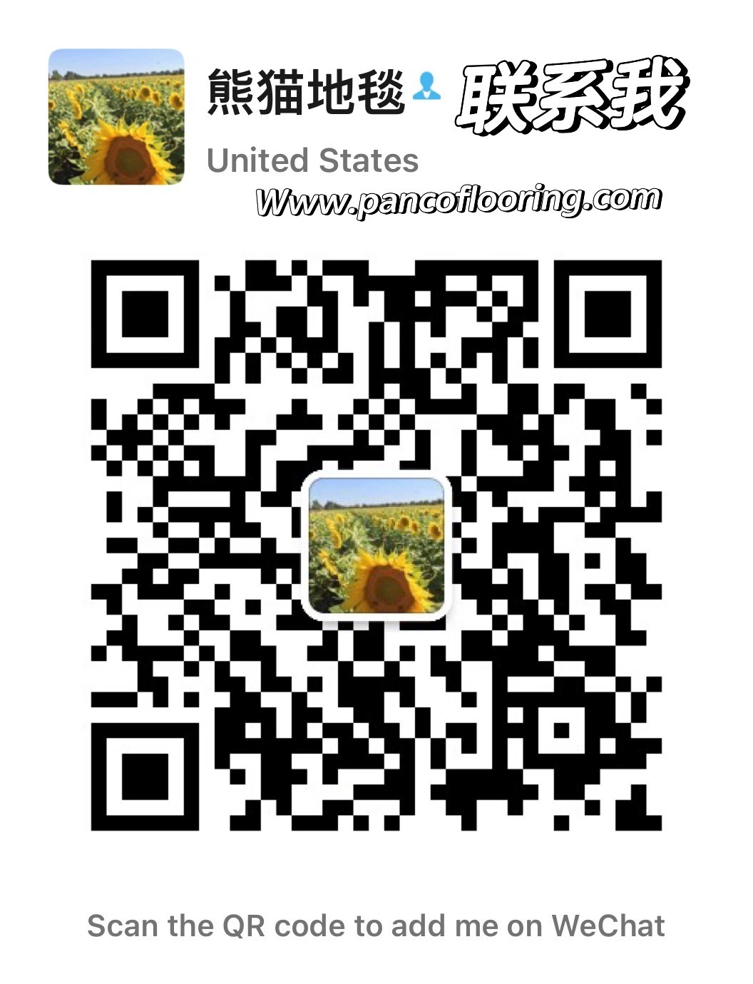 熊猫地毯地板人造草坪公司 图片 4