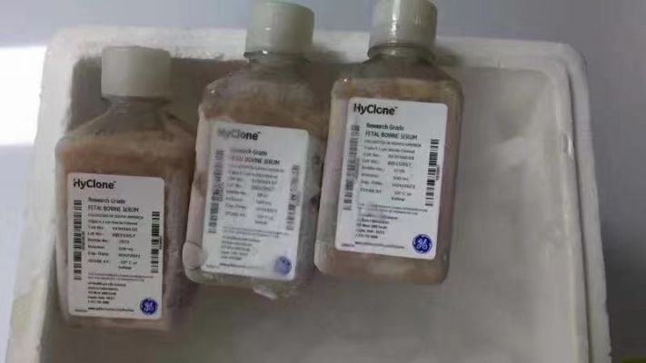 美国至香港到大陆各类物品包税清关运输服务。 图片 7