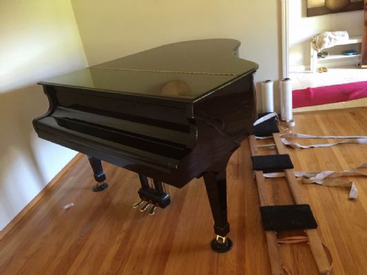 湾区兄弟搬运 免费仓储洛杉矶圣地亚哥西雅图拼车中 专业搬琴 图片 7