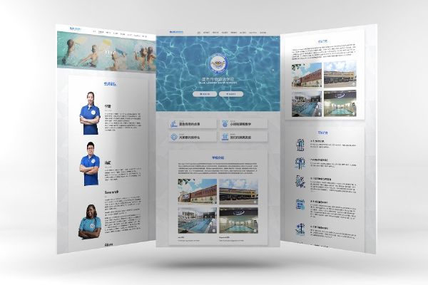 Optima Ninja 洛杉矶  网站设计App开发 图片 3