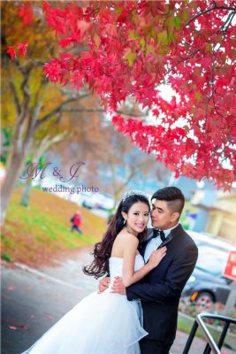 旧金山王子婚纱摄影 图片 7