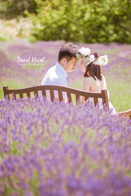 Pearl Hsieh 舊金山婚紗婚禮City Hall公證攝影 孕媽咪 寶寶寫真服務 图片 3