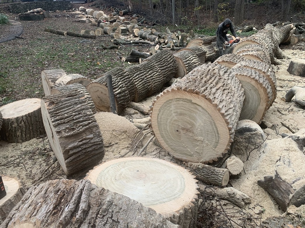 纽约布碌仑水泥车道，庭院改造，庭院设计，纽约五区-长岛内外装修找创高装修公司 photo 4