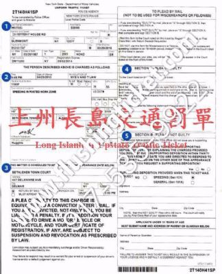 纽约罚单事务所FF Low Tickets 图片 4