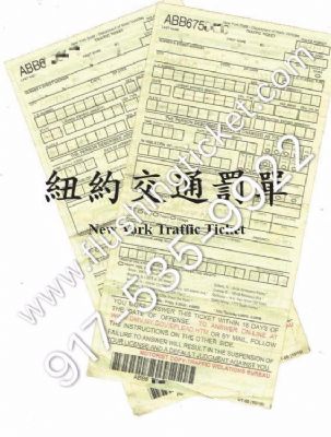纽约罚单事务所FF Low Tickets 图片 7
