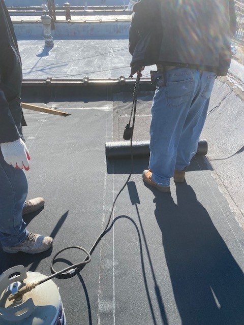 专业装修团队承接泳池建造 photo 10