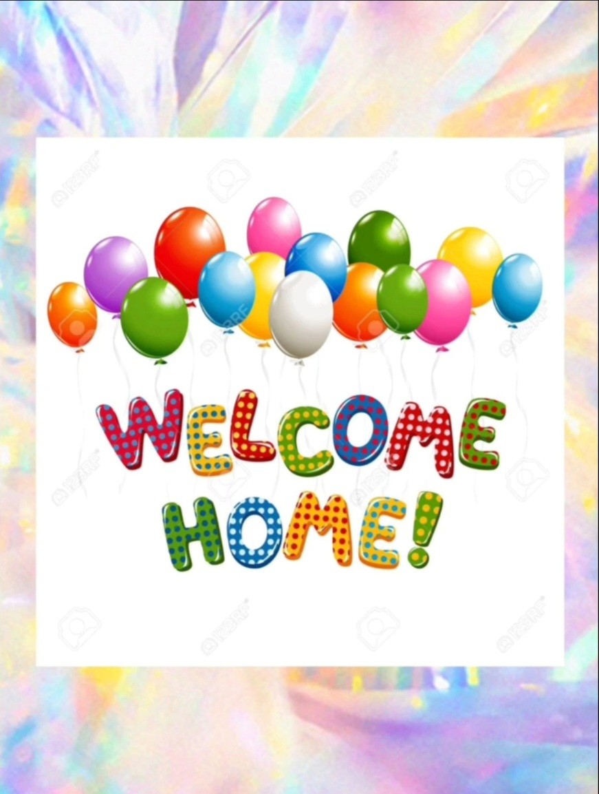 波士顿好学区寄宿家庭和留学接待服务 MA 图片 1