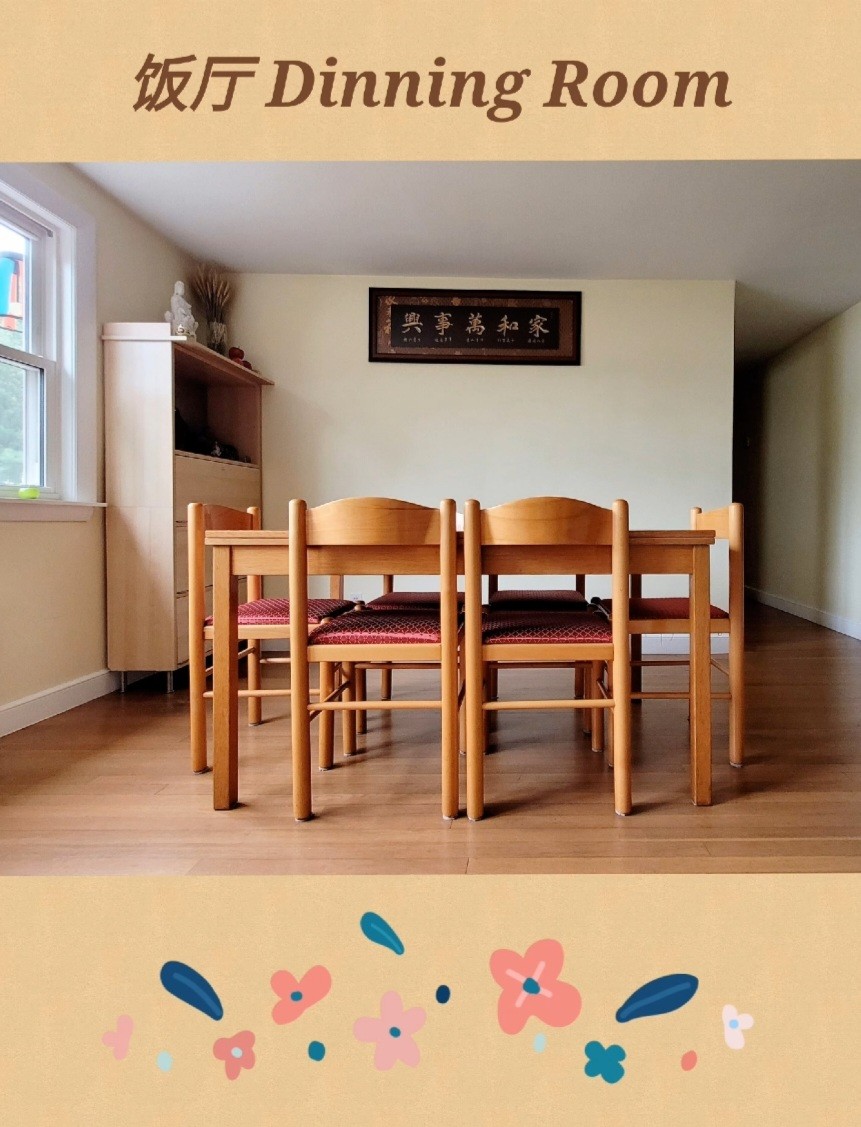 波士顿好学区寄宿家庭和留学接待服务 MA 图片 5