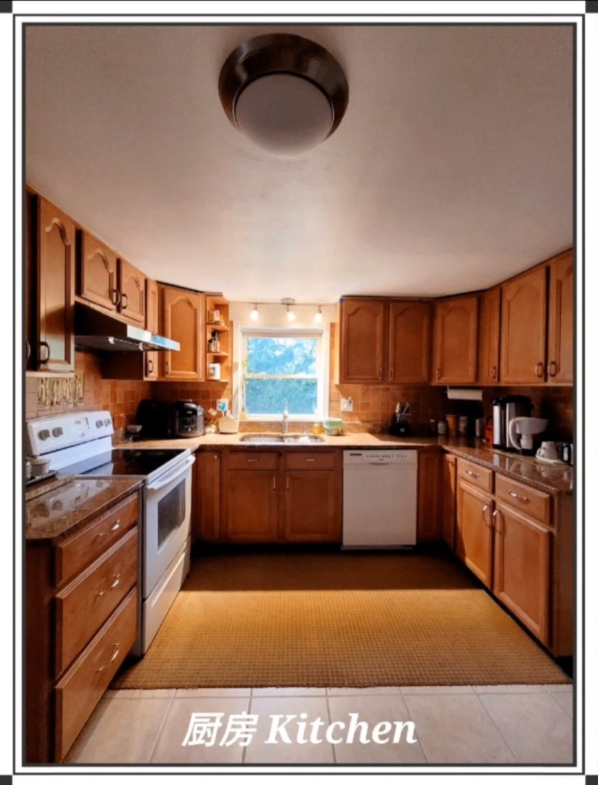 波士顿好学区寄宿家庭和留学接待服务 MA 图片 6