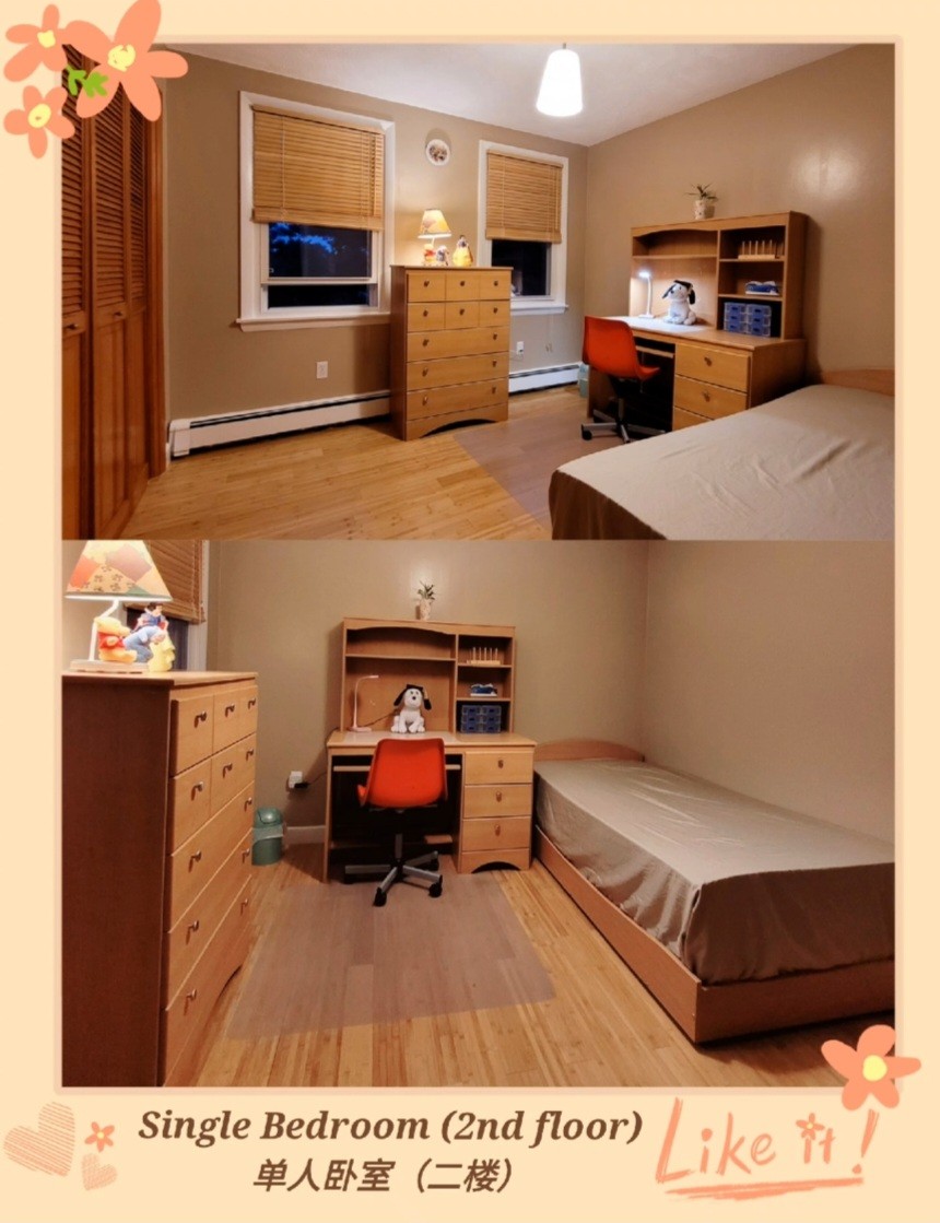 波士顿好学区寄宿家庭和留学接待服务 MA 图片 9