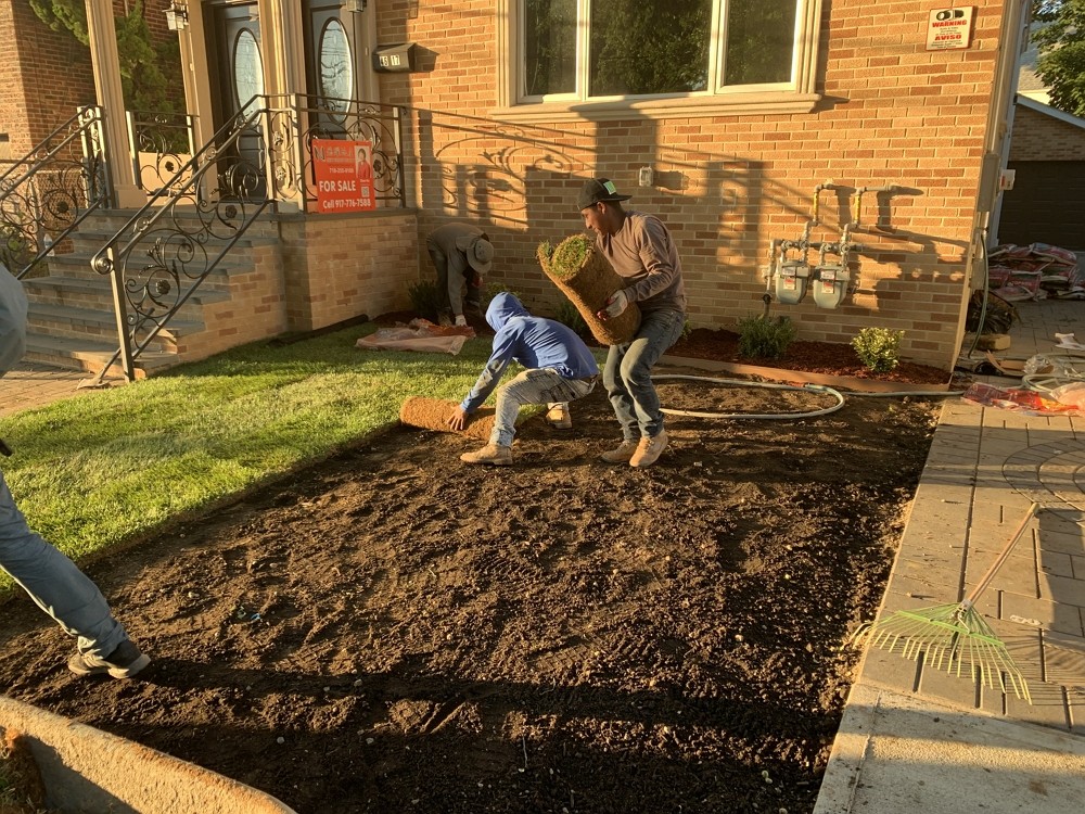 康州百安居砍树公司 – 专业园林和树木管理，砍伐枯树病树，砍树修枝 【康州砍树公司】 图片 8