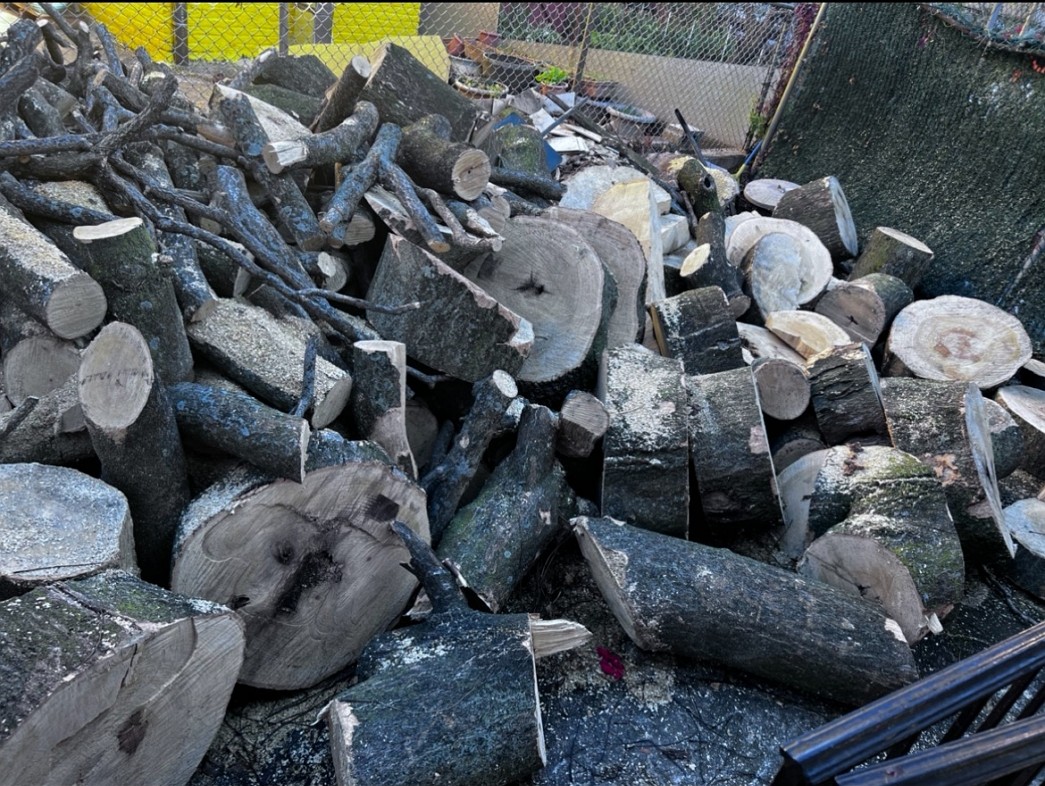 砍树修枝围栏, 水泥铺路, 内外装修 免费估价 图片 2