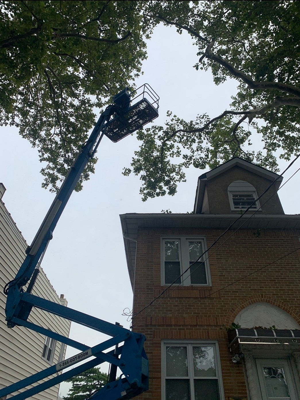 砍树修枝围栏, 水泥铺路, 内外装修 免费估价 图片 5