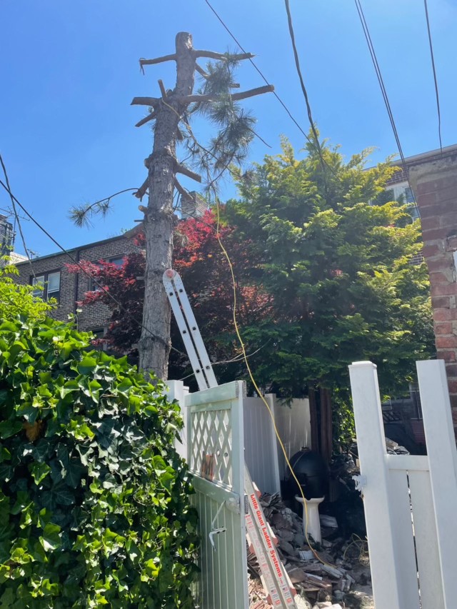 康州装修 图片 3