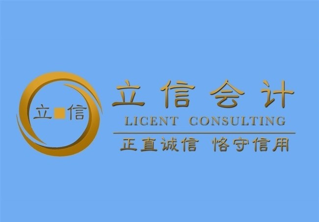 会计事务所,公司报税,个人报税,李扬注册会计师CPA CT 图片 2