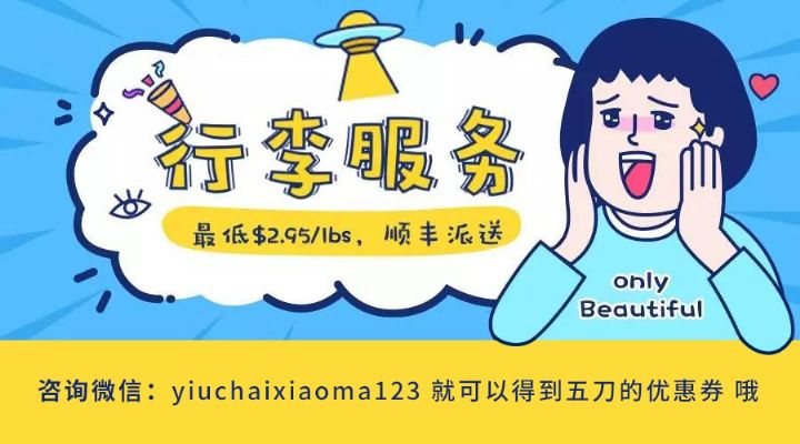 回国行李专线最低降至$2.95/lbs简单易懂，方便可靠 MI photo 6
