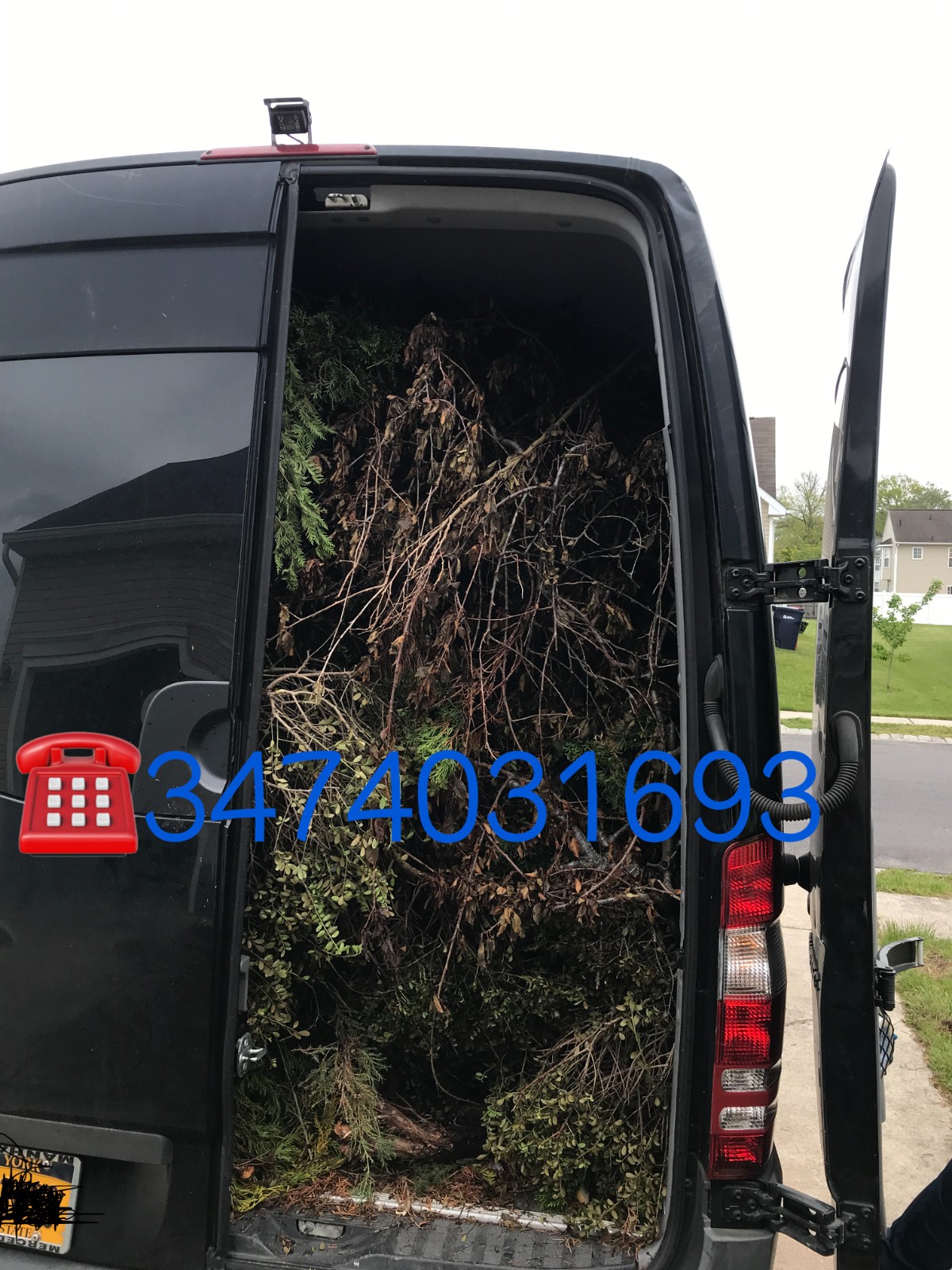 砍树 伐木 清理树木, 清理旧家具 图片 2