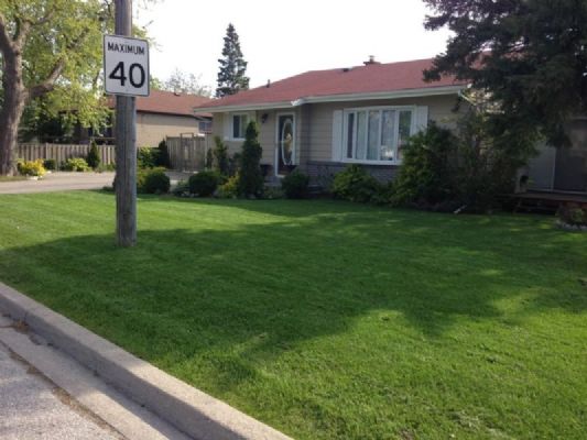 美国纽约诚信园艺公司  庭院设计施工 photo 3