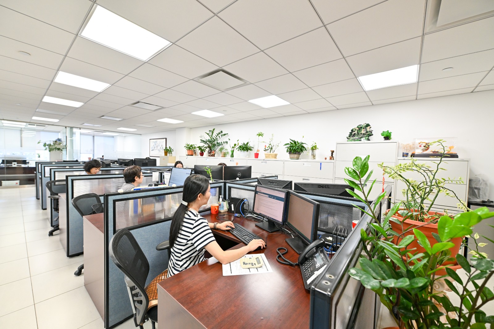 Summit Mortgage Bankers photo 1