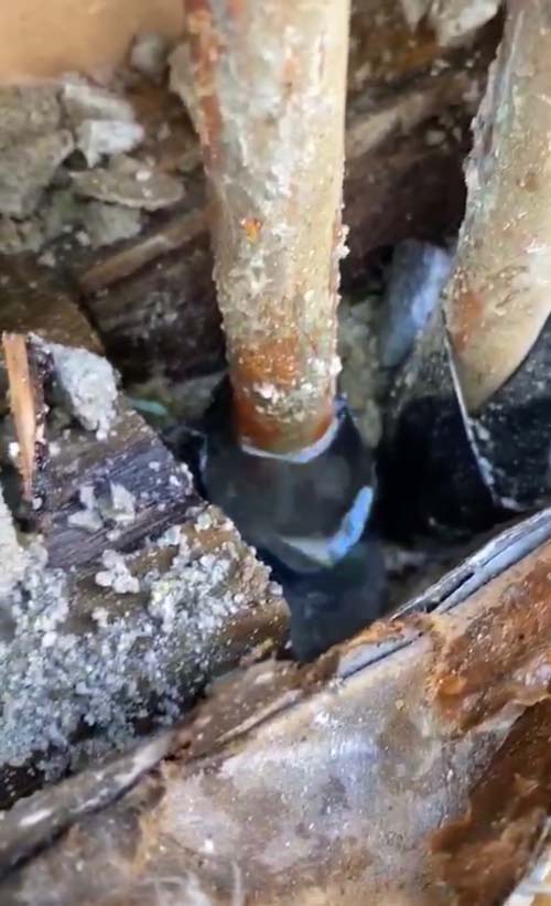 核桃漏水( 終生保證) 图片 8