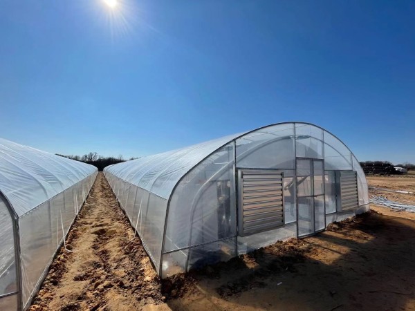 奇點建築 图片 9